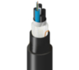 TM-SLF-006-HBA