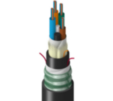 TT-SLD-048-LTN