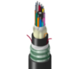 TT-SLD-144-LTN