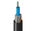 TM-1C0-004-MNA