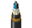 TM-1LF-006-HBA