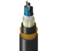 TM-1LG-012-HBA