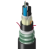 TT-SLC-006-LTN