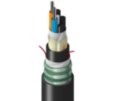 TT-SLD-024-LTN