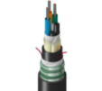 TT-SLG-036-HTN