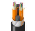 TT-1DK-024-LNN