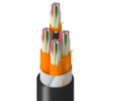 TT-1DK-048-LNN