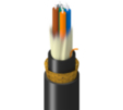 TM-1D9-006-LBA