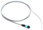 FT3MM250PS01