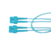 FP3SDSD002M