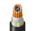 TT-1BB-012-LNN